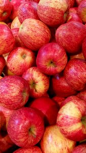 Healthy vitamins food