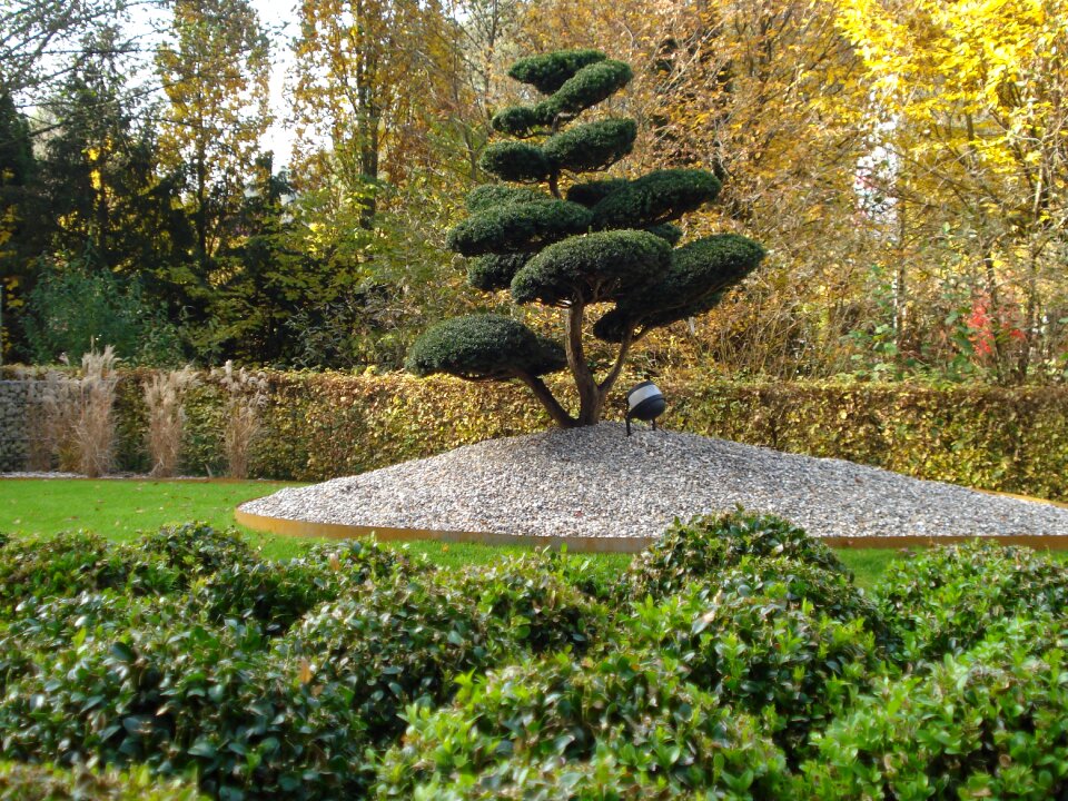 Nursery garden stone bed