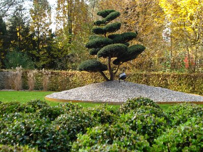 Nursery garden stone bed