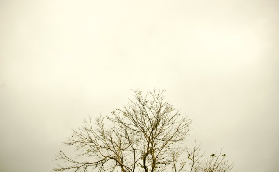 Silhouette landscape against light