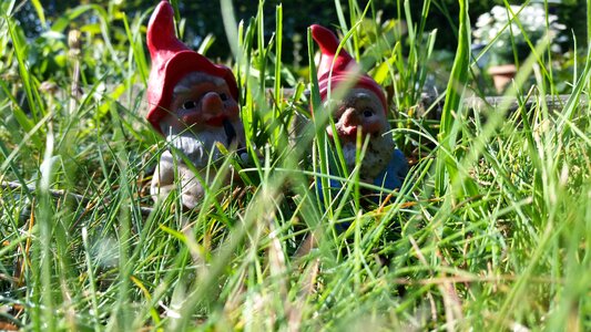 Cute funny garden gnome
