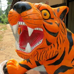 Wildlife bengal head