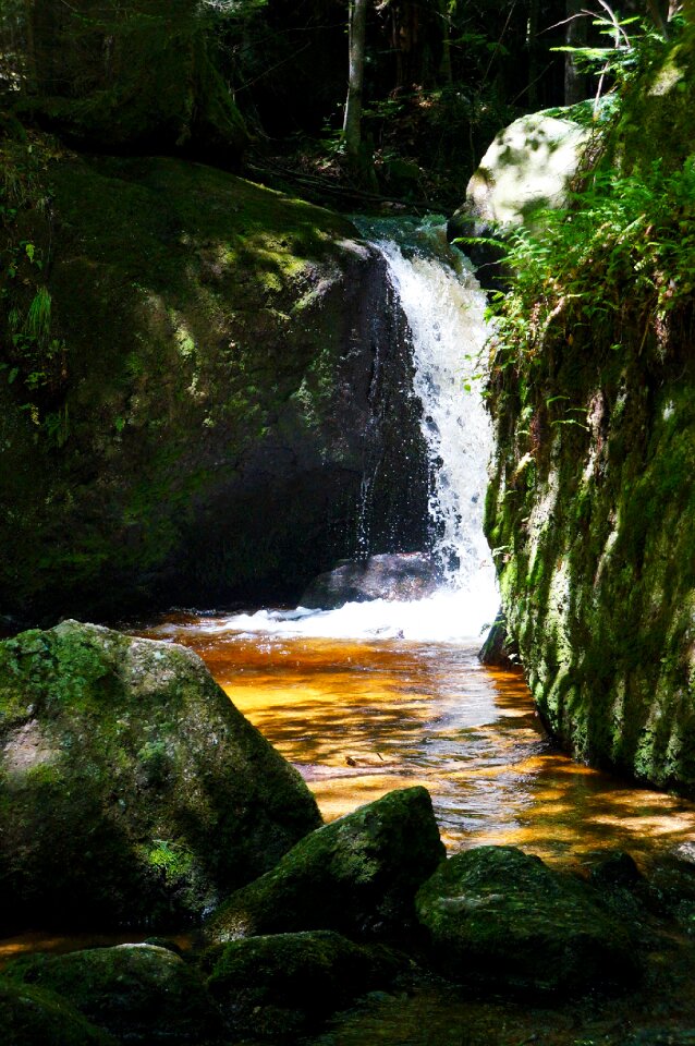 Landscape nature clammy