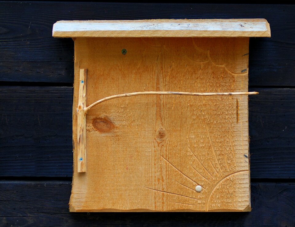 Barometer bauer barometer wood work