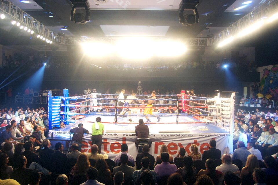 Boxing boxer fight