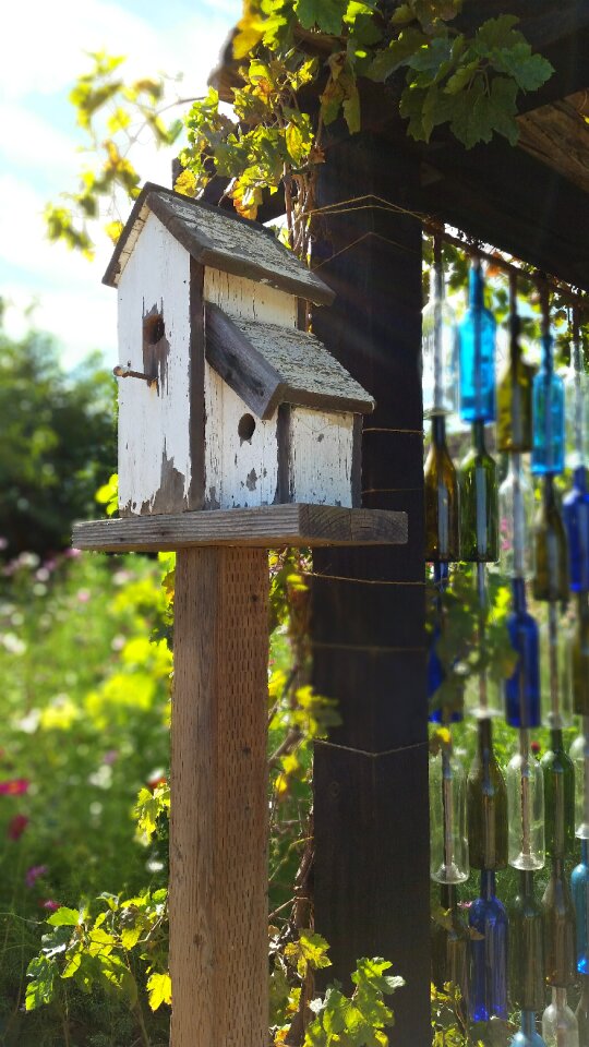 Nature wooden house
