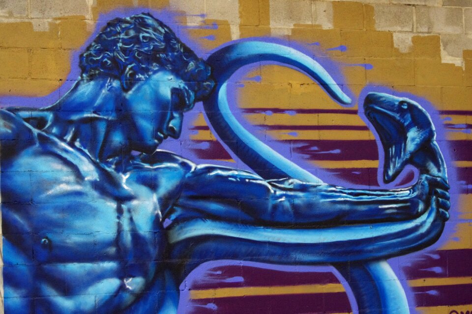 Blue snakebite muscular