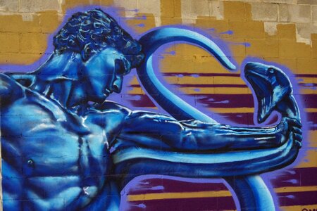 Blue snakebite muscular