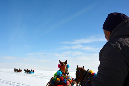 Horse-drawn carriage kars travel photo