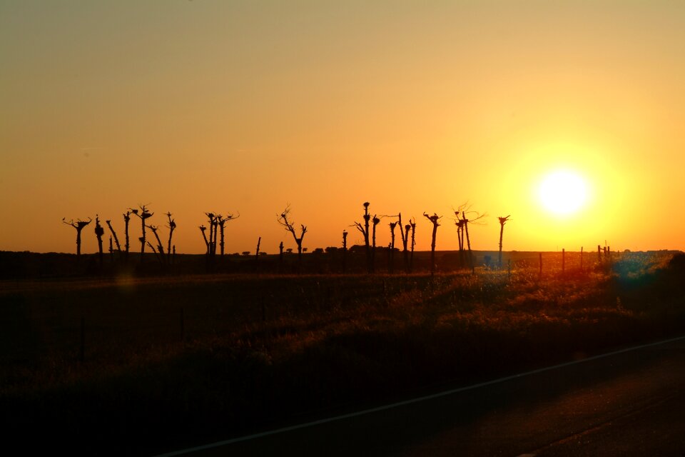 Sunset landscape horizon