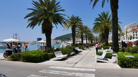 Split beach promenade palms photo