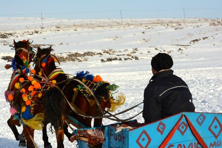 Horse-drawn carriage kars travel photo