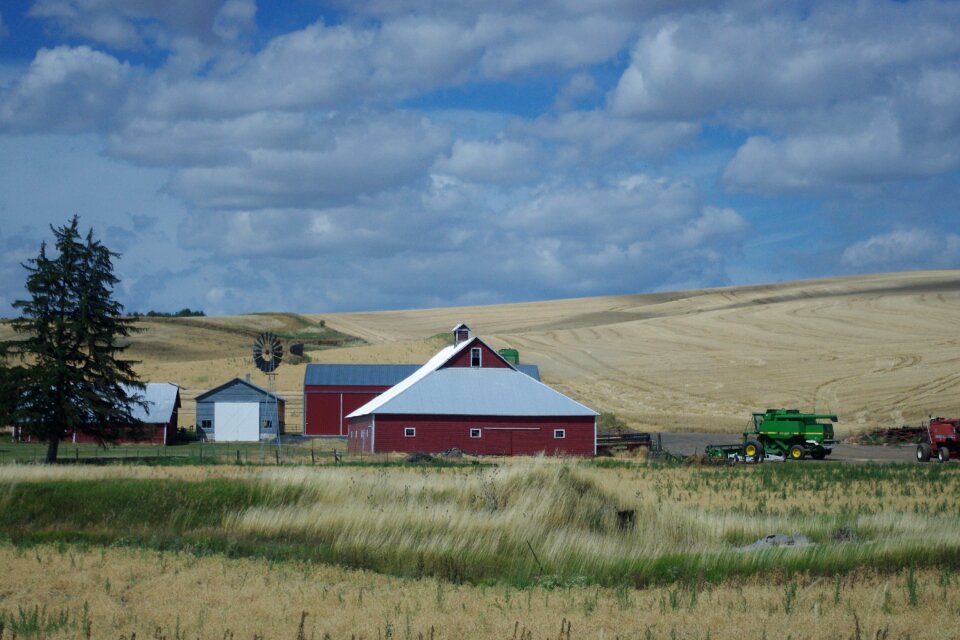 Agriculture farm sky