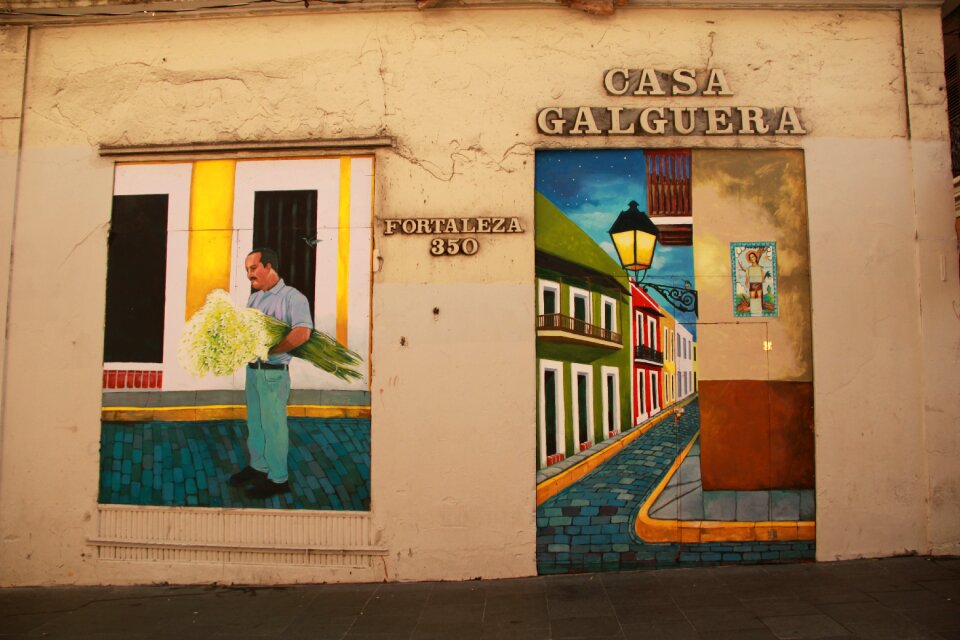 San juan man flowers