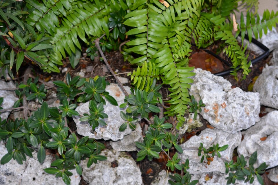 Green stone natural