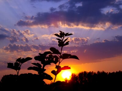 Sun twilight in the evening