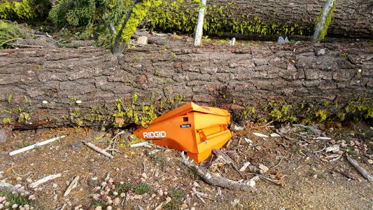 Tree smashed ironic