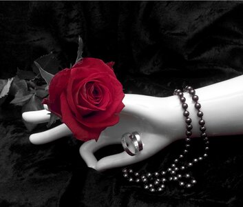 Rose ring art