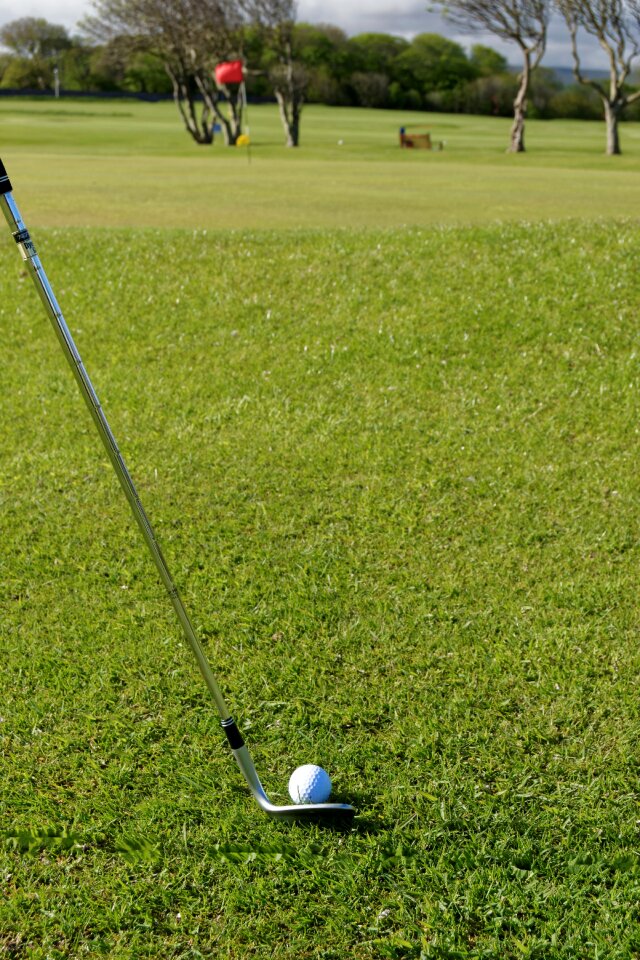 Golf club grass sport