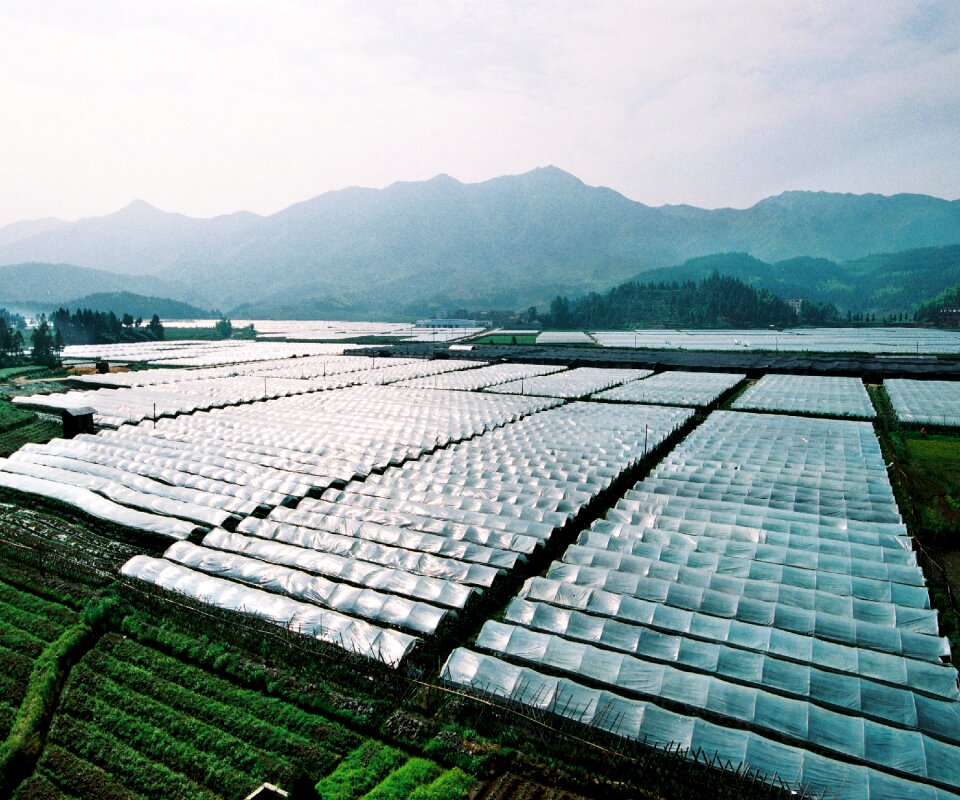 Greenhouse agriculture a large area