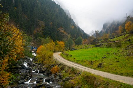 Trabzon greens nature photo