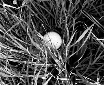 Grass black and white ball photo