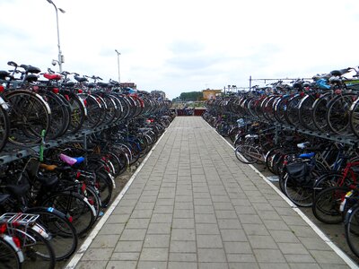 Holland bikes netherlands photo