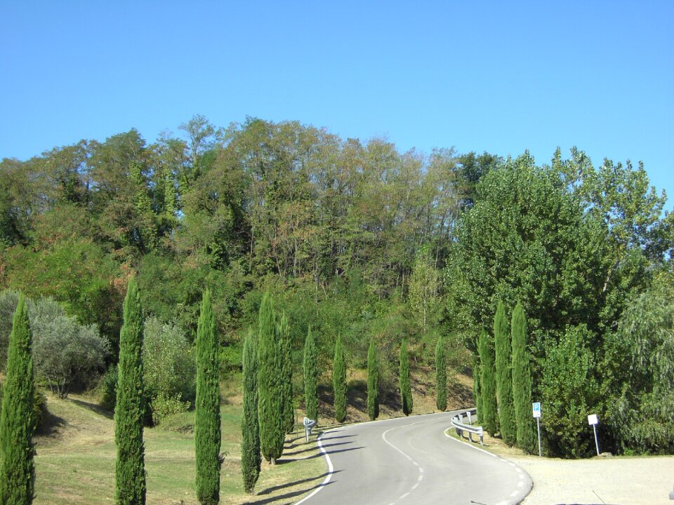 Tuscany italy cypress