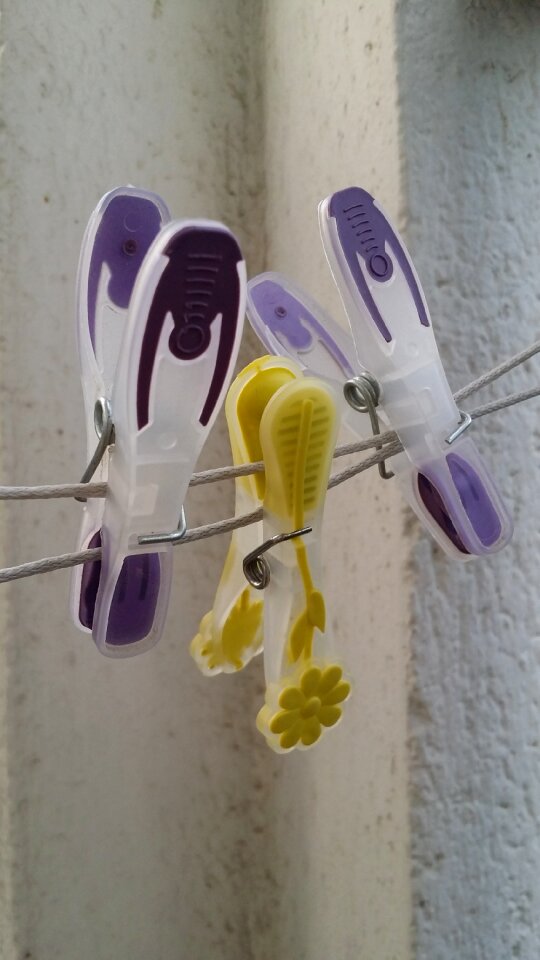 Order lilac yellow