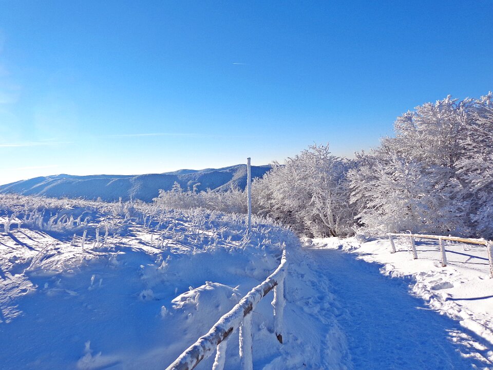 Frost landscape tourism
