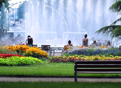 Flowers bench water