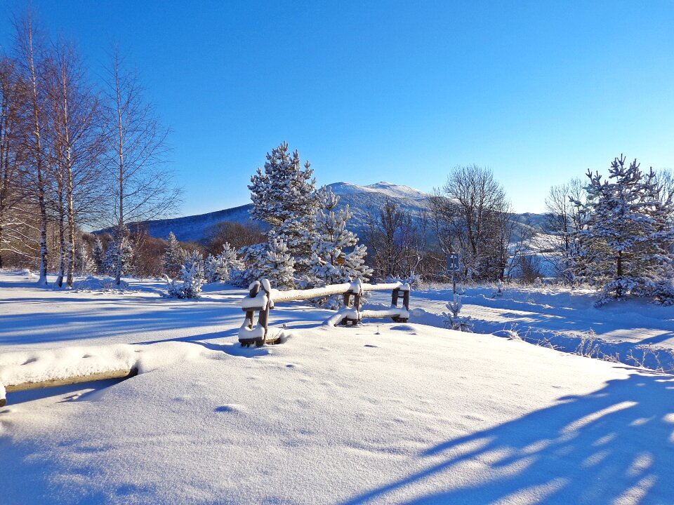 Frost landscape tourism photo