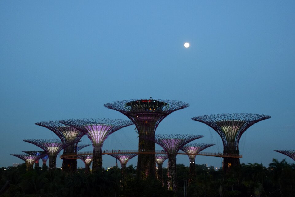 Icon landmark