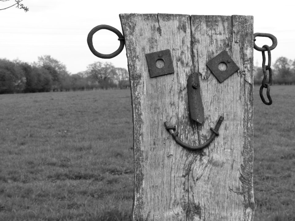 Wood fields