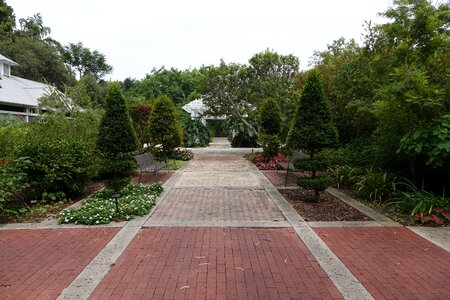 Scenic environment