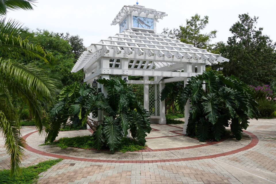 Summer park outdoor