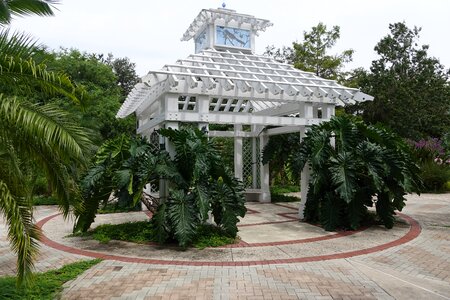 Summer park outdoor