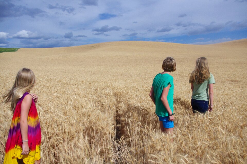 Golden landscape teen