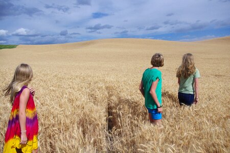 Golden landscape teen