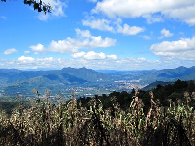Corn mountains sky