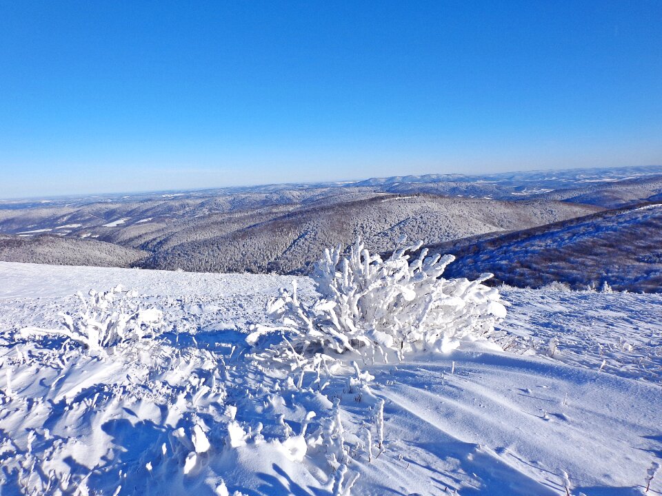 Frost landscape tourism photo