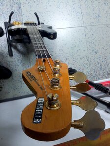 Low mechanics bassist
