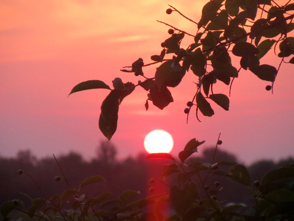 Colorful sunset brand nature