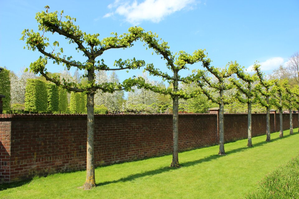 Outdoor environment green