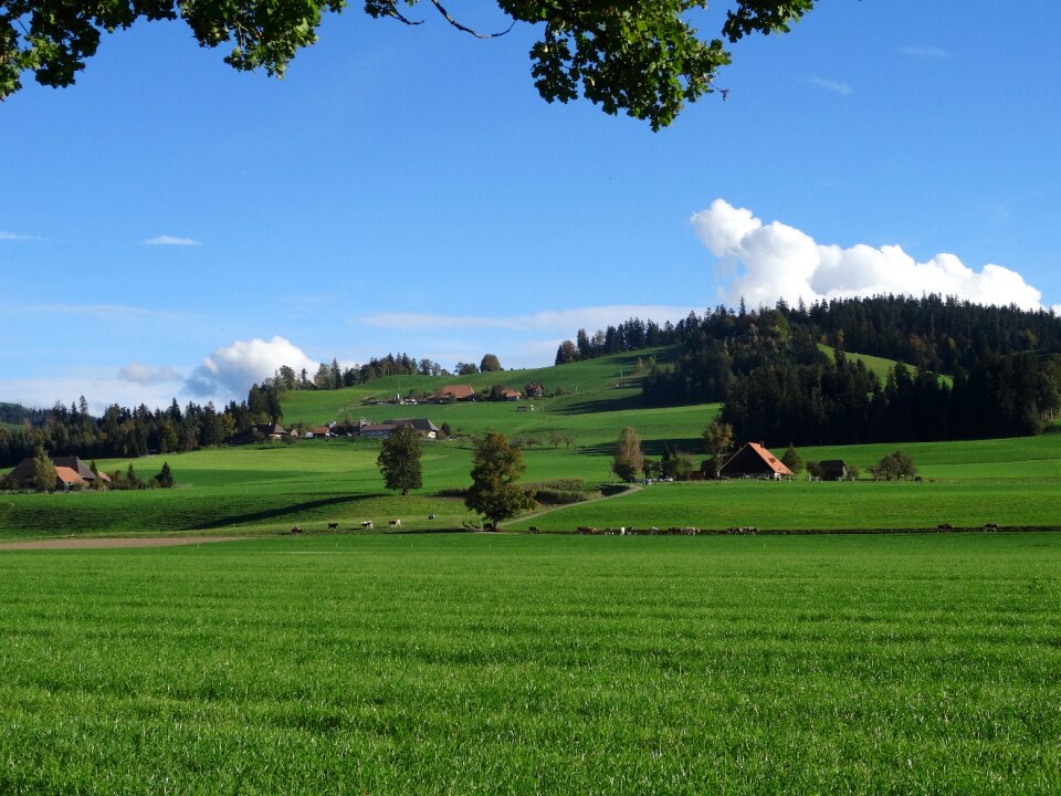 Landscape emmental farm photo