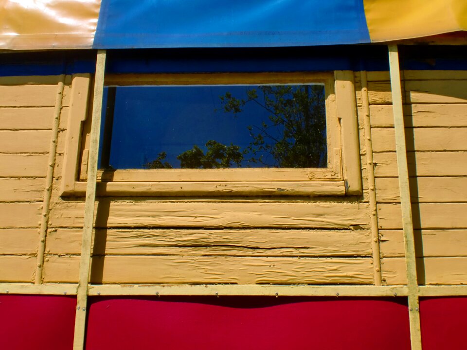 Window colors tree