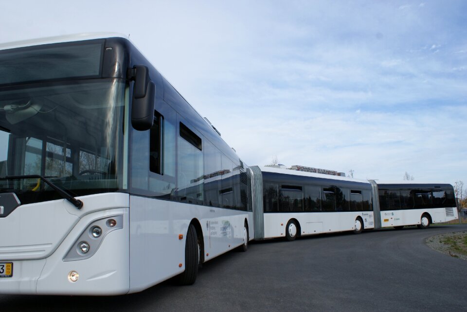 Long large prototype