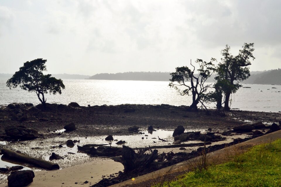 Ocean scenic