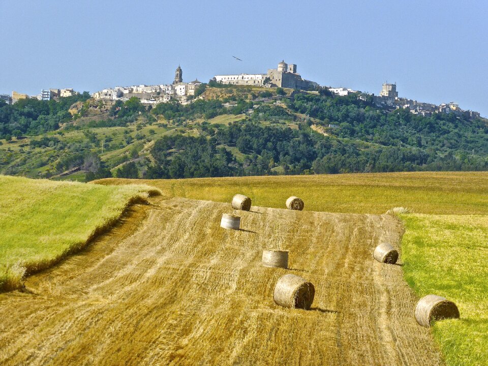 Farm countryside harvesting