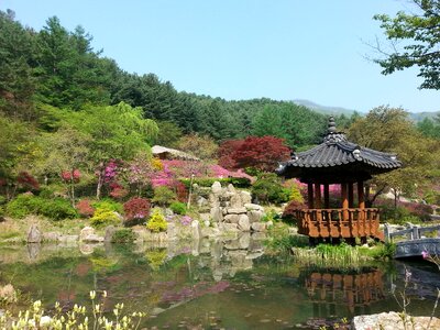 Spring flowers asian garden